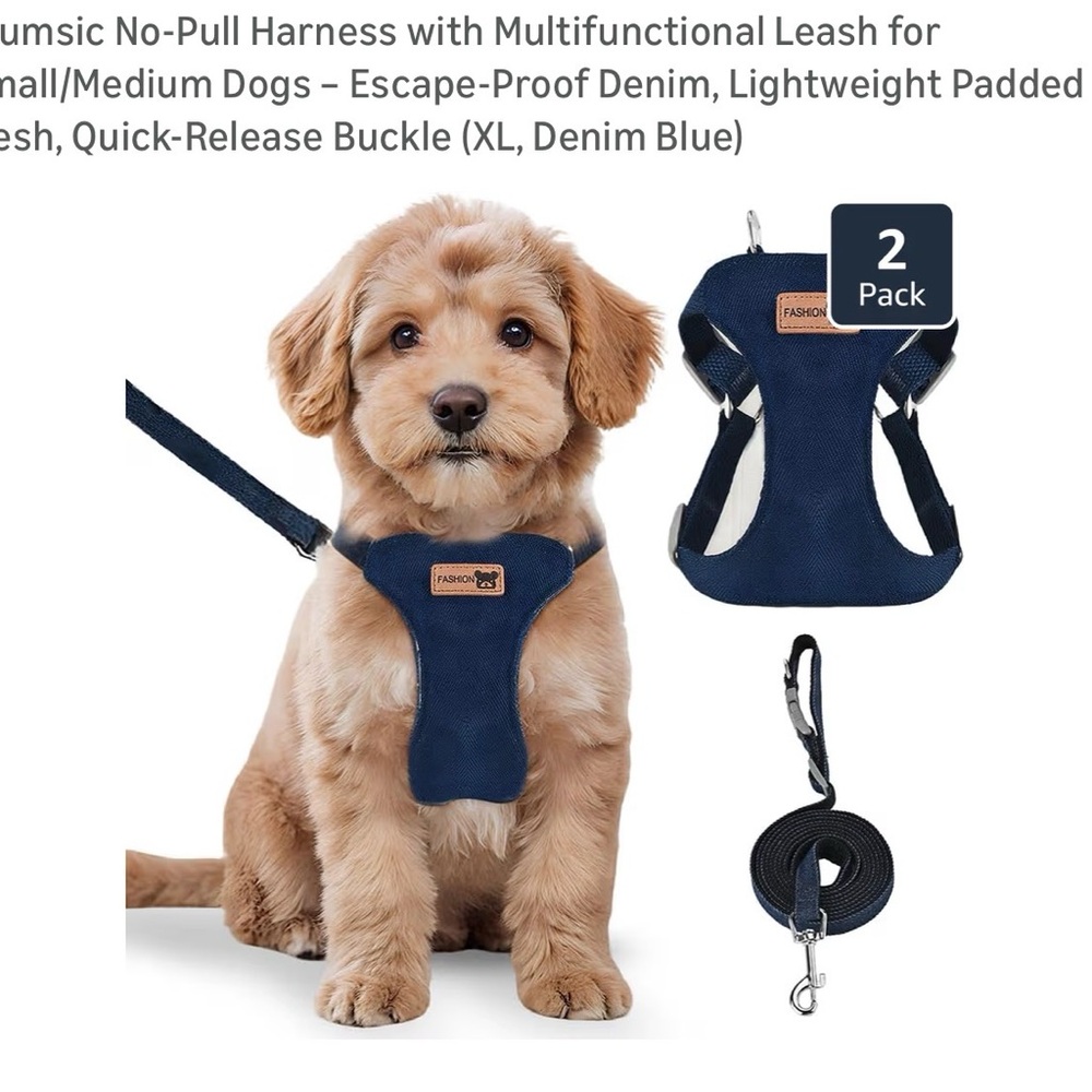 MSI Denim Blue Dog Harness and Leash Set